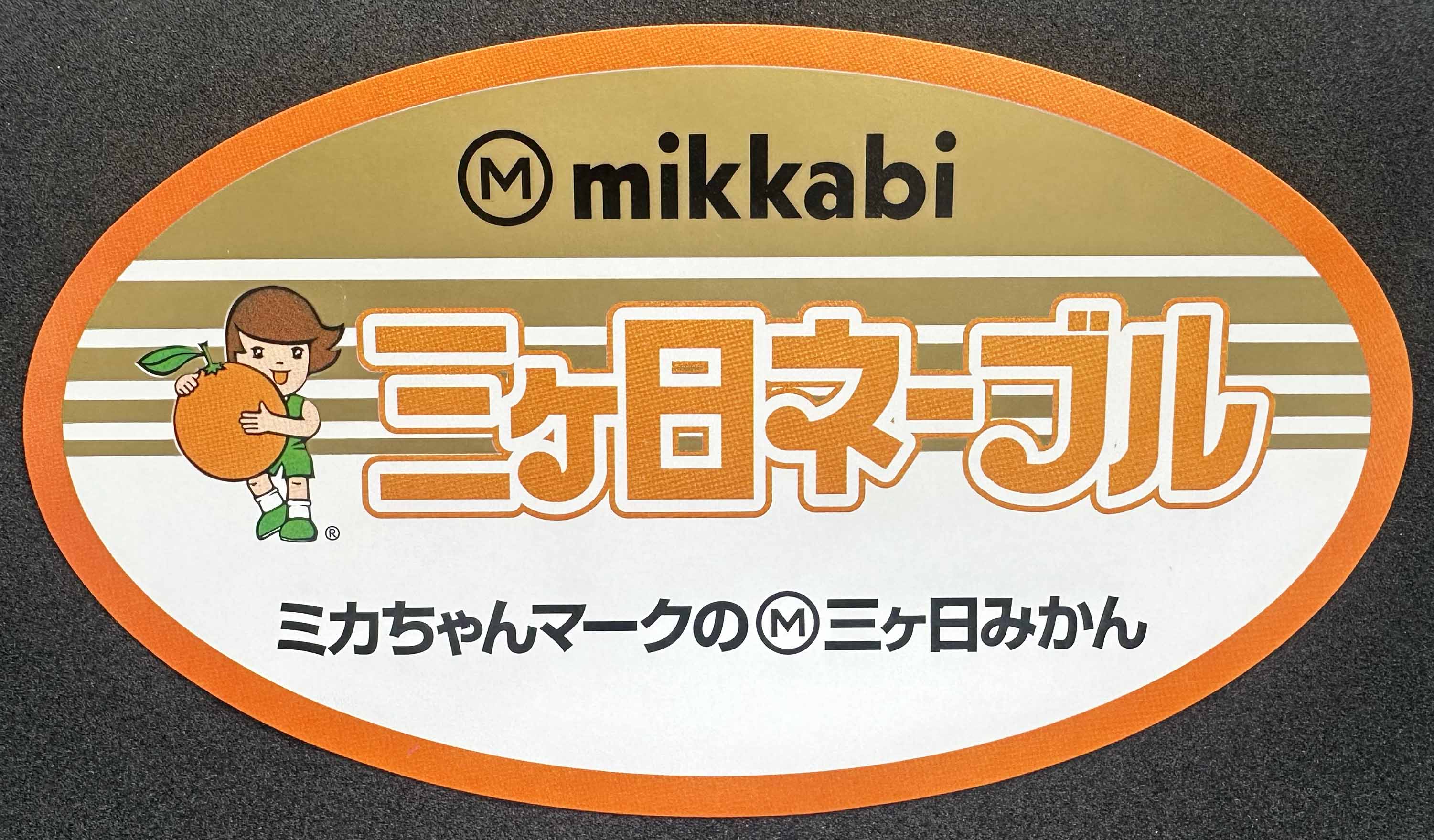 三ヶ日ネーブル