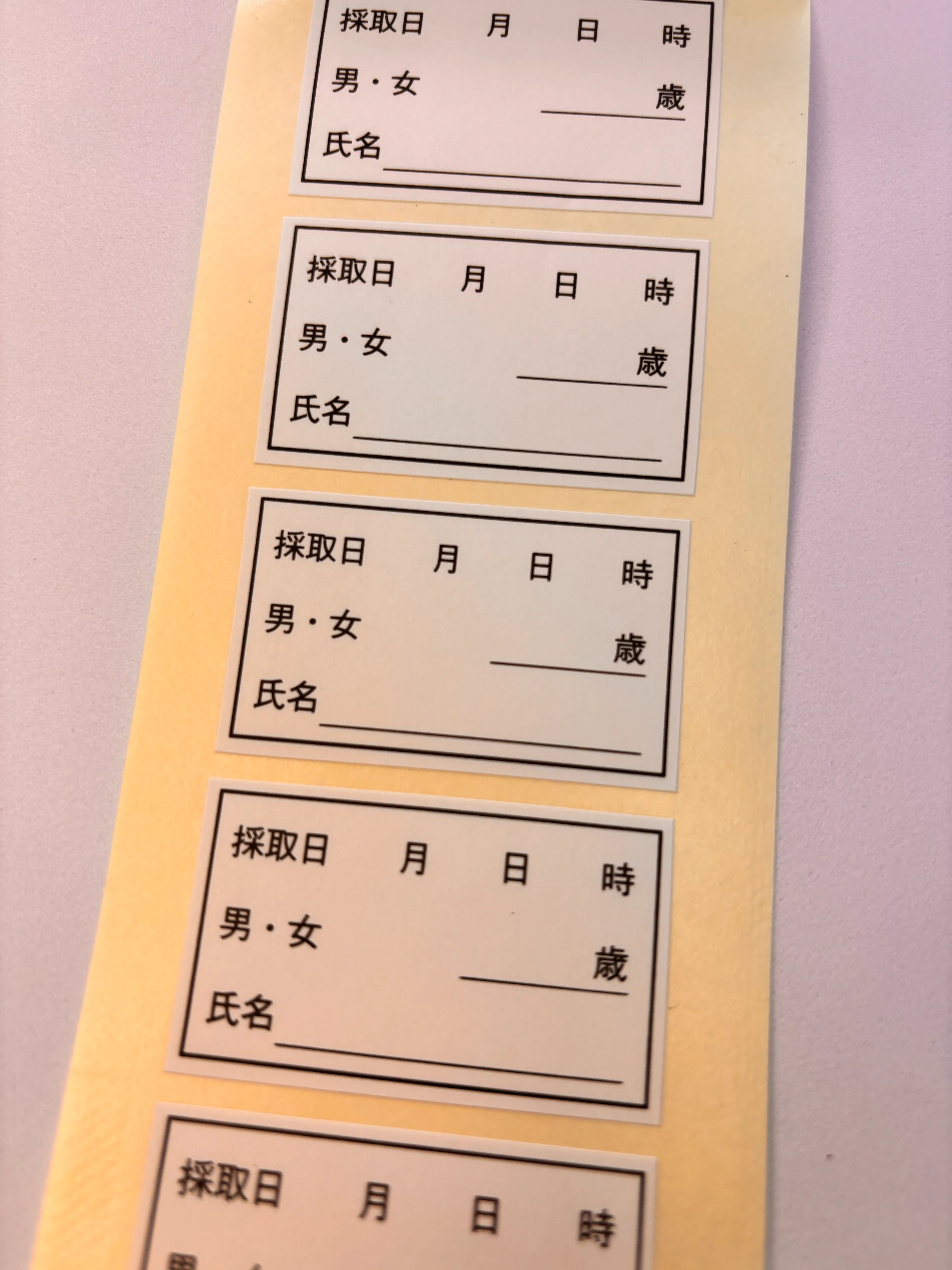 表示ラベルサンプル2